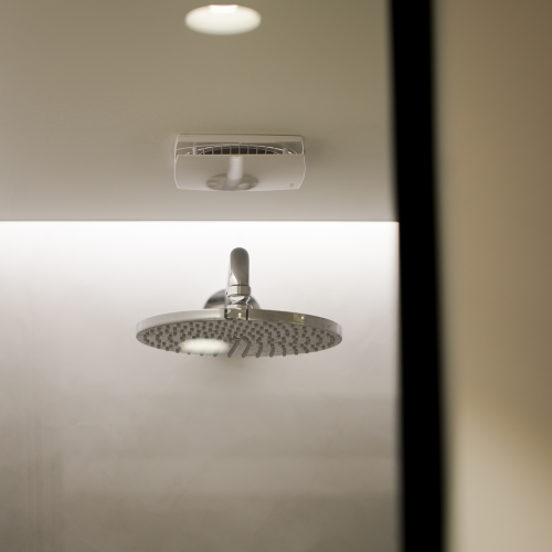 Spanplafond in de badkamer