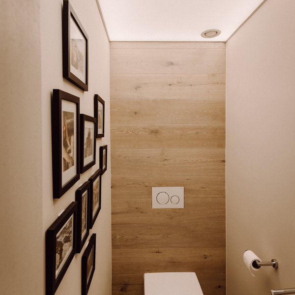 Skylight spanplafond in toilet